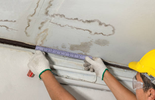 Reliable Water Damage contractor in Trinity, TX by Water Damage Irwin